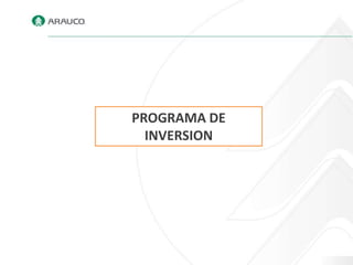 PROGRAMA DE
  INVERSION
 