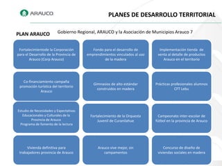 PLANES DE DESARROLLO TERRITORIAL

PLAN ARAUCO              Gobierno Regional, ARAUCO y la Asociación de Municipios Arauco 7


 Fortalecimientode la Corporación          Fondo para el desarrollo de        Implementación tienda de
para el Desarrollo de la Provincia de   emprendimientos vinculados al uso    venta al detalle de productos
        Arauco (Corp Arauco)                     de la madera                   Arauco en el territorio




   Co-financiamiento campaña
                                           Gimnasios de alto estándar       Prácticas profesionales alumnos
 promoción turística del territorio
                                             construidos en madera                      CFT Lebu
             Arauco



Estudio de Necesidades y Expectativas
   Educacionales y Culturales de la       Fortalecimiento de la Orquesta     Campeonato inter-escolar de
         Provincia de Arauco                  Juvenil de Curanilahue        fútbol en la provincia de Arauco
  Programa de fomento de la lectura




      Vivienda definitiva para                Arauco vive mejor, sin             Concurso de diseño de
 trabajadores provincia de Arauco                campamentos                 viviendas sociales en madera
 
