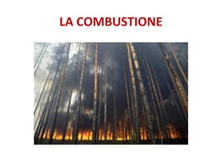 LA COMBUSTIONE
 