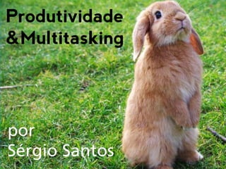 Produtividade
&Multitasking




por
Sérgio Santos
 