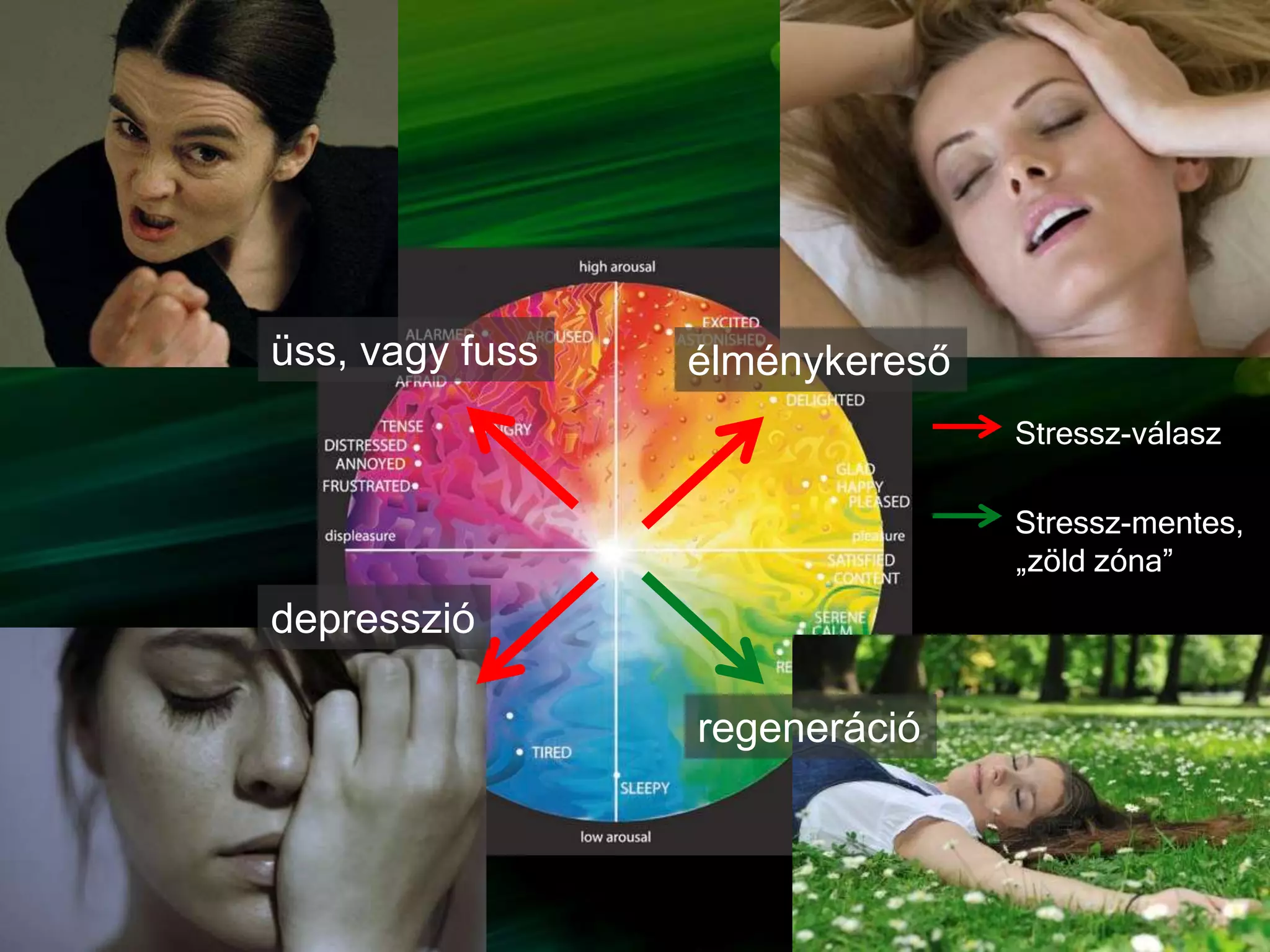 Stressz-válasz
Stressz-mentes,
„zöld zóna”
élménykeresőüss, vagy fuss
depresszió
regeneráció
 