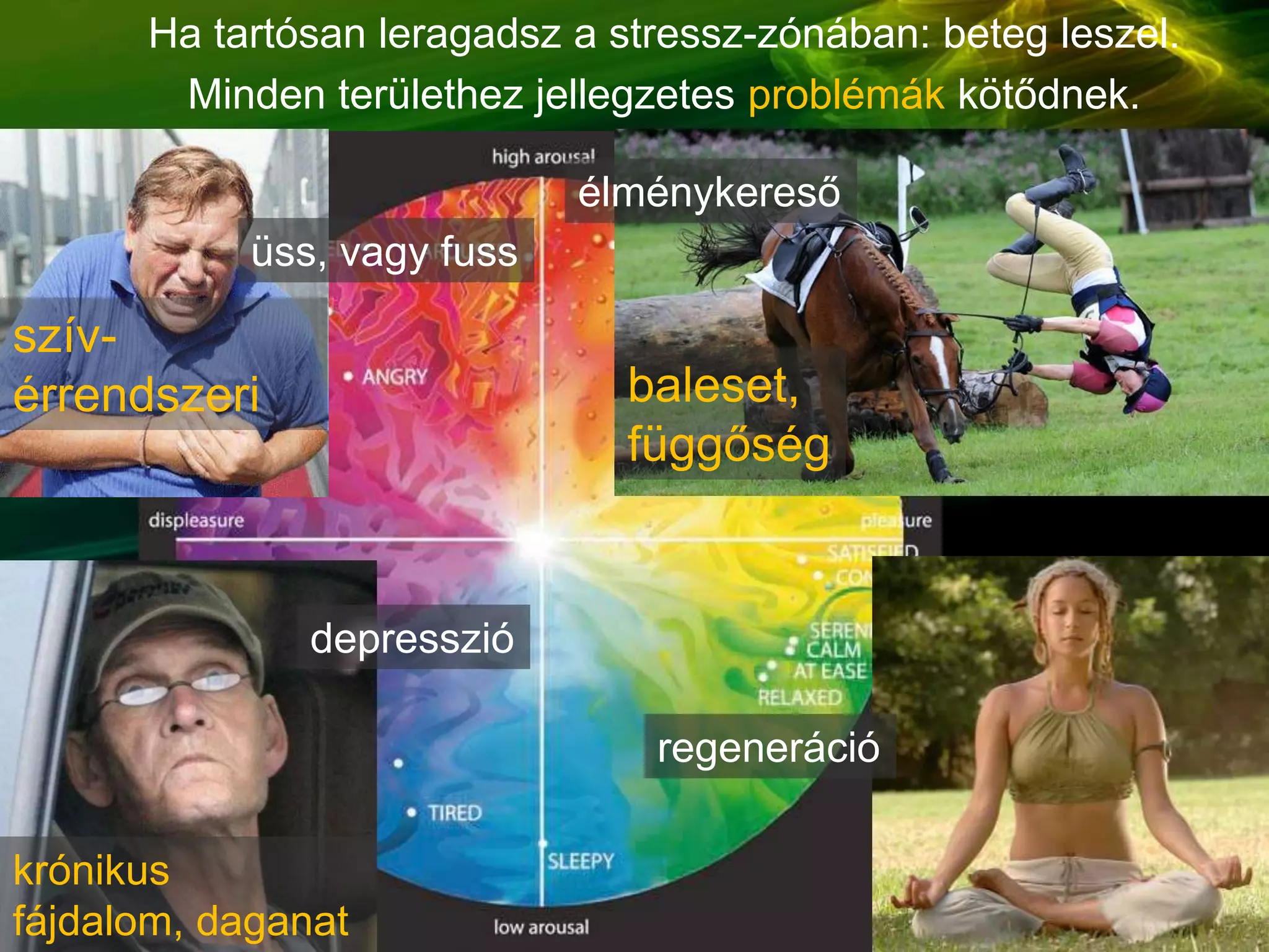 Ha tartósan leragadsz a stressz-zónában: beteg leszel.
Minden területhez jellegzetes problémák kötődnek.
baleset,
függőség
szív-
érrendszeri
krónikus
fájdalom, daganat
élménykereső
üss, vagy fuss
depresszió
regeneráció
 