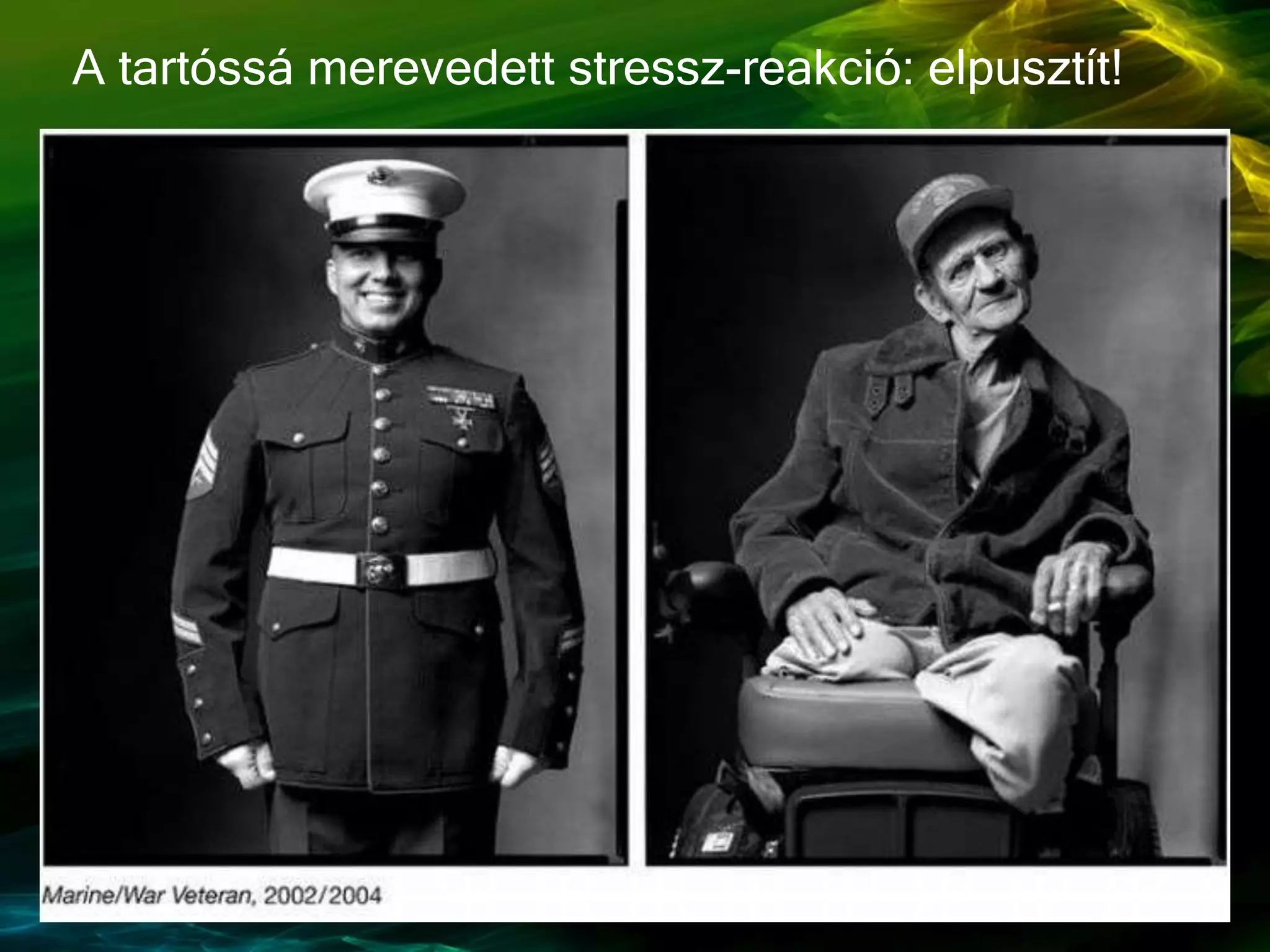 A tartóssá merevedett stressz-reakció: elpusztít!
 
