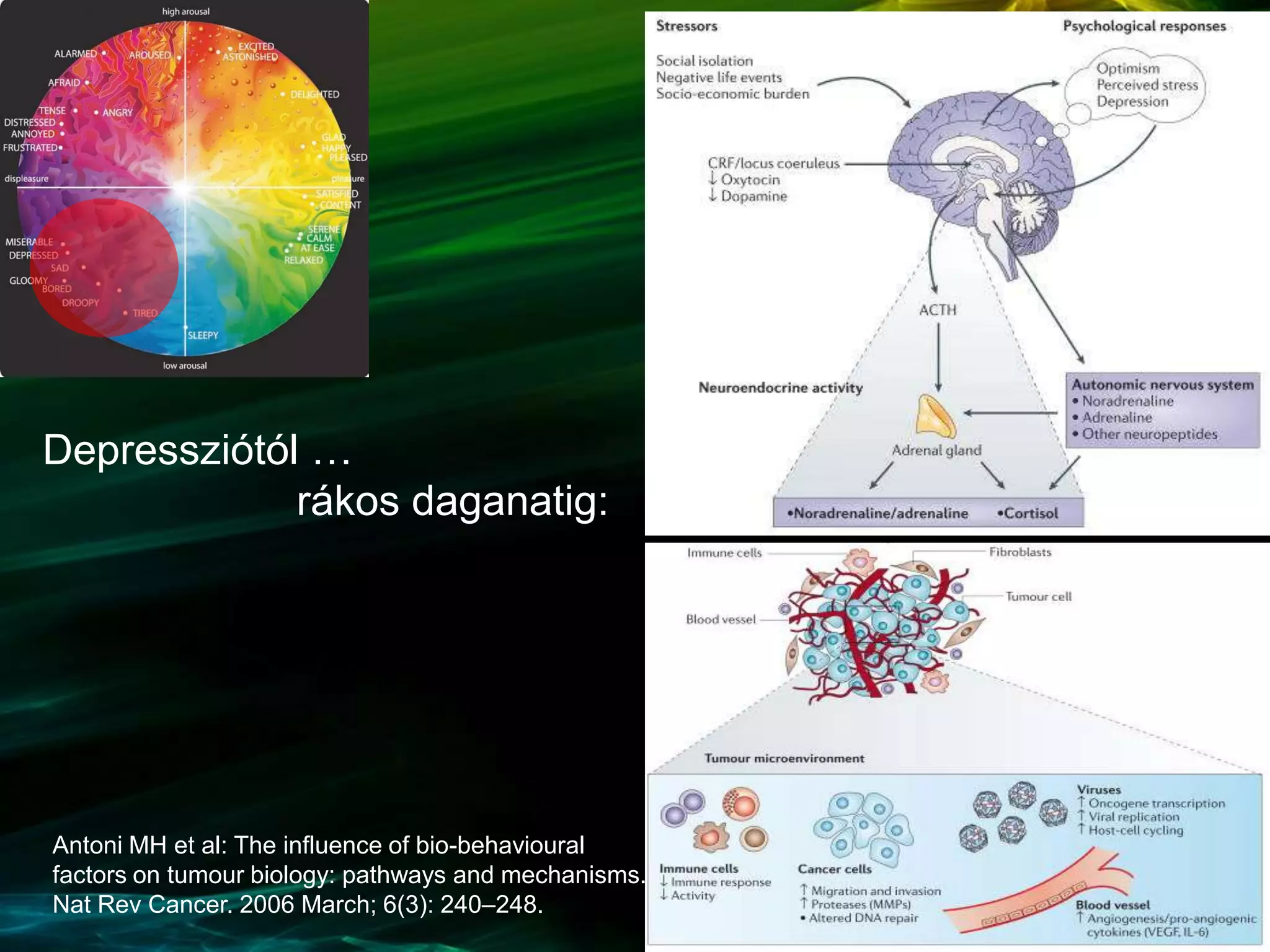 Antoni MH et al: The influence of bio-behavioural
factors on tumour biology: pathways and mechanisms.
Nat Rev Cancer. 2006 March; 6(3): 240–248.
Depressziótól …
rákos daganatig:
 