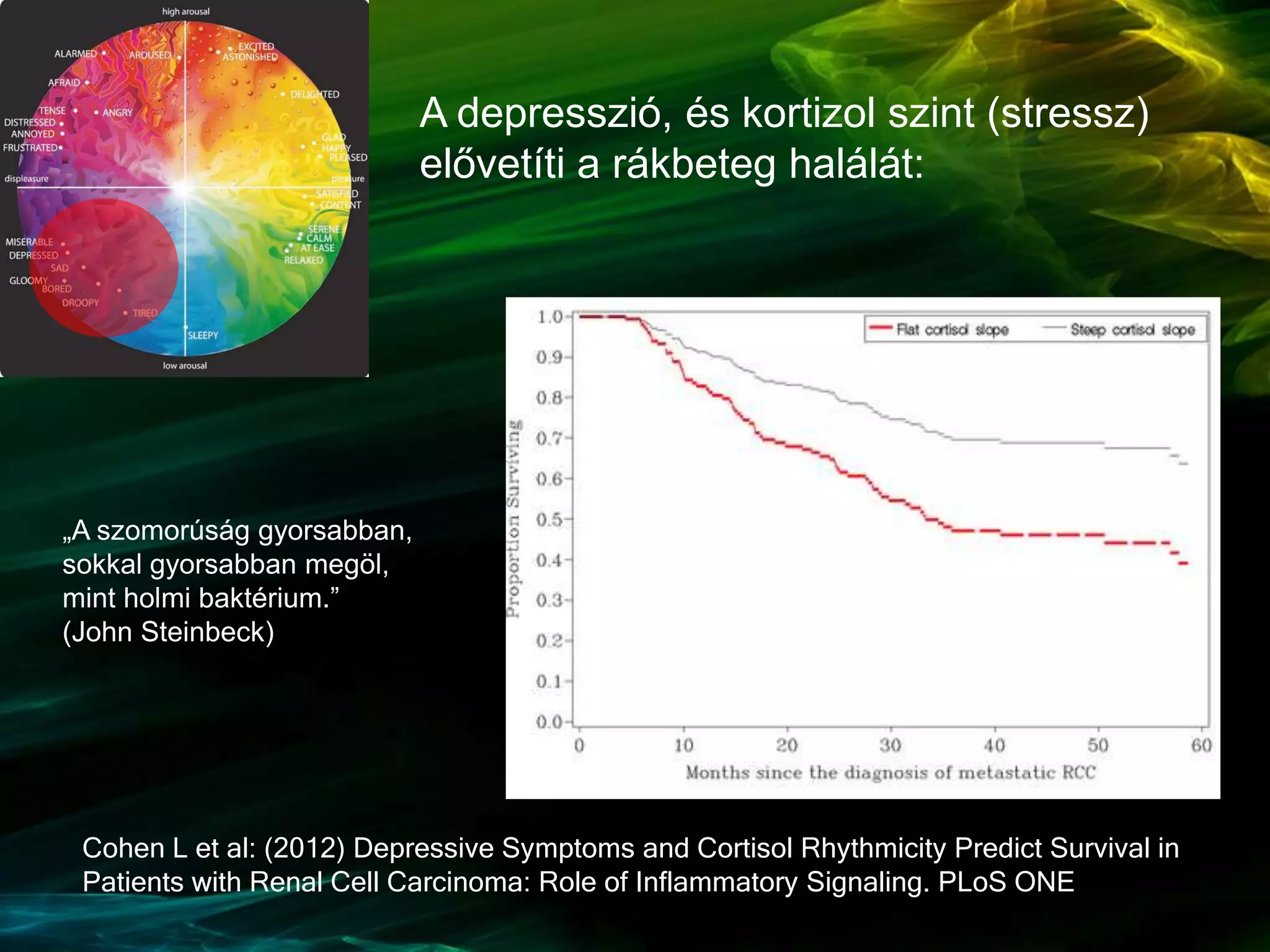 Cohen L et al: (2012) Depressive Symptoms and Cortisol Rhythmicity Predict Survival in
Patients with Renal Cell Carcinoma: Role of Inflammatory Signaling. PLoS ONE
„A szomorúság gyorsabban,
sokkal gyorsabban megöl,
mint holmi baktérium.”
(John Steinbeck)
A depresszió, és kortizol szint (stressz)
elővetíti a rákbeteg halálát:
 
