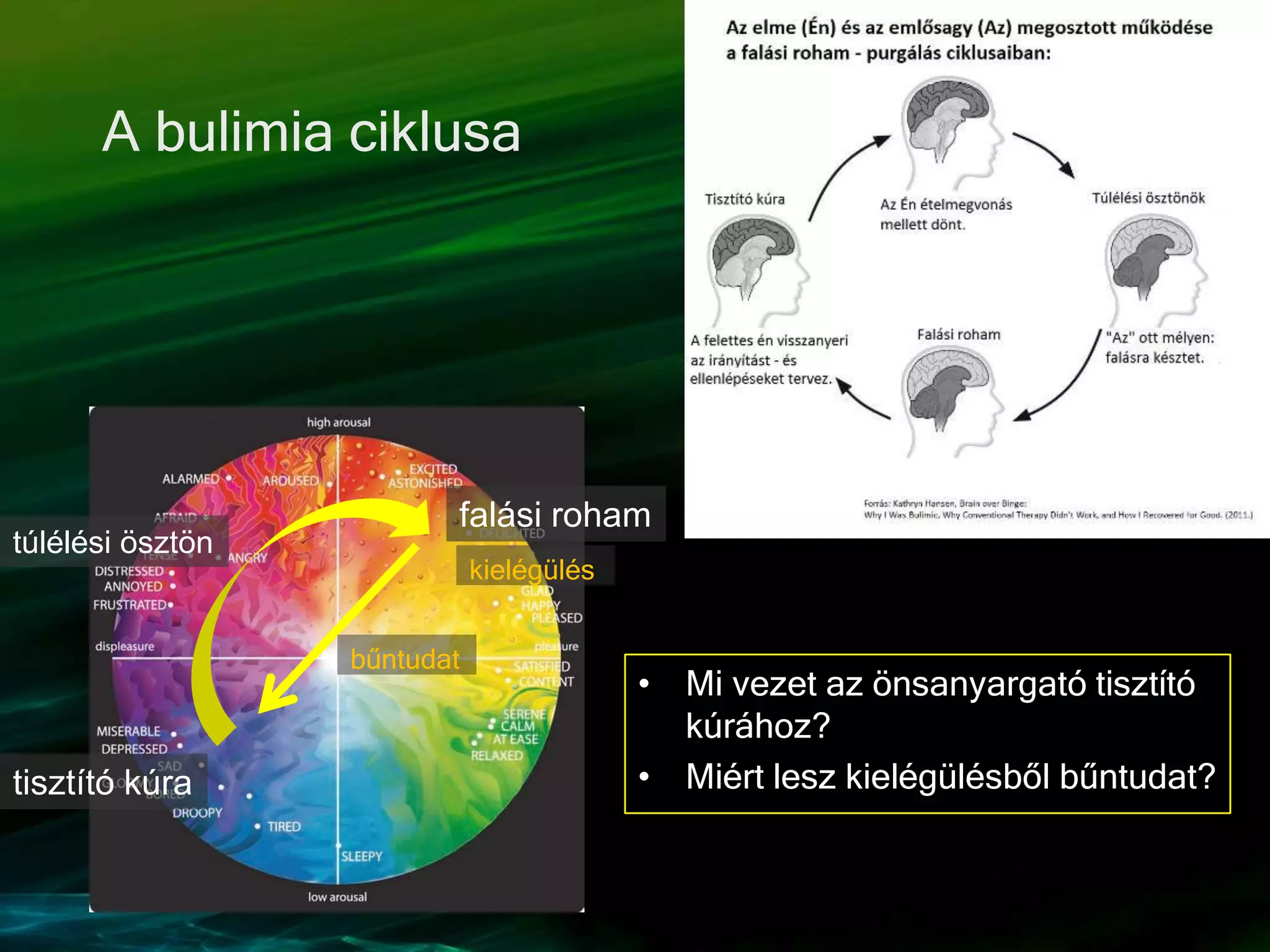 A bulimia ciklusa
falási roham
tisztító kúra
túlélési ösztön
kielégülés
bűntudat
• Mi vezet az önsanyargató tisztító
kúrához?
• Miért lesz kielégülésből bűntudat?
 