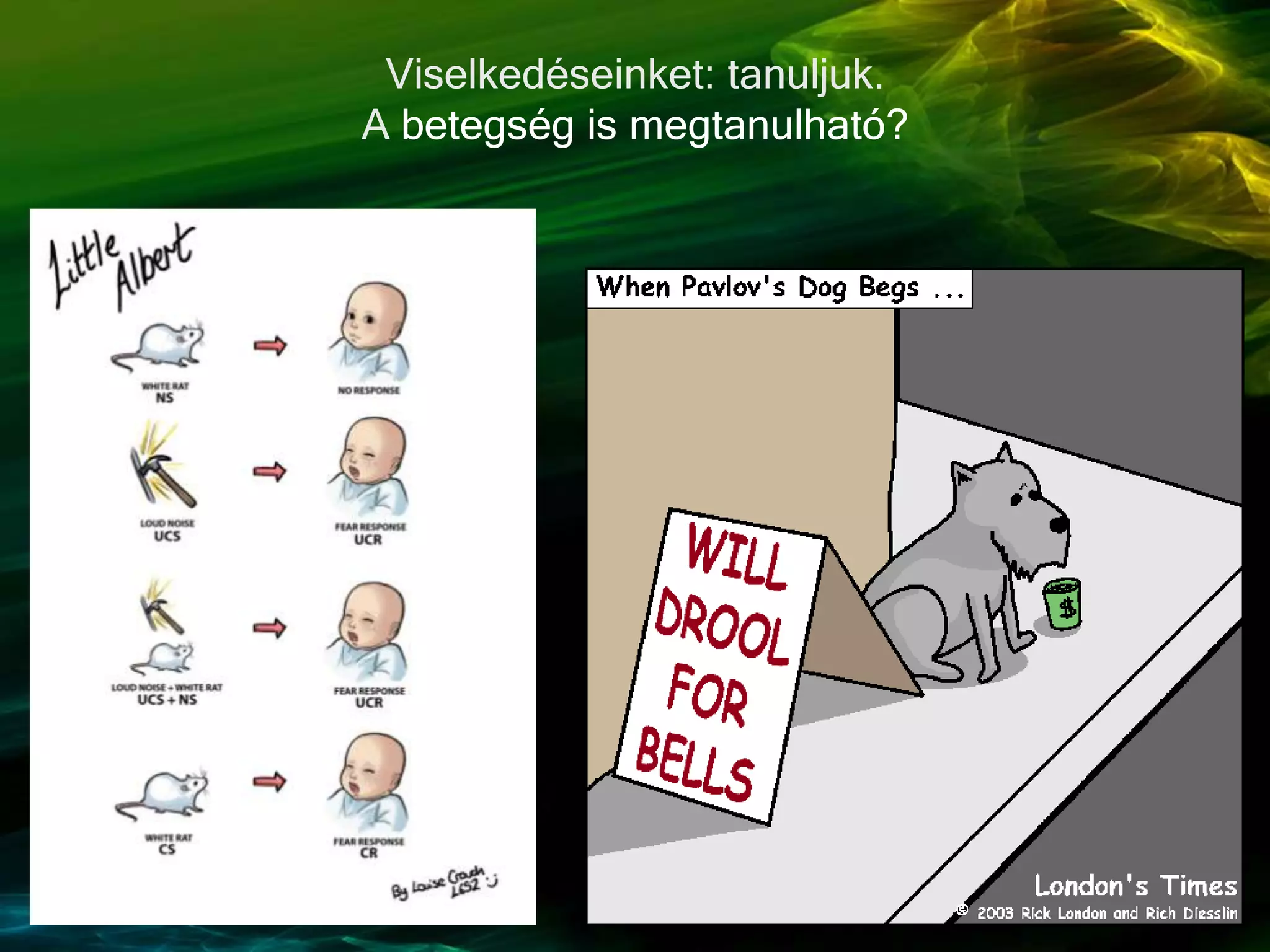 Viselkedéseinket: tanuljuk.
A betegség is megtanulható?
 