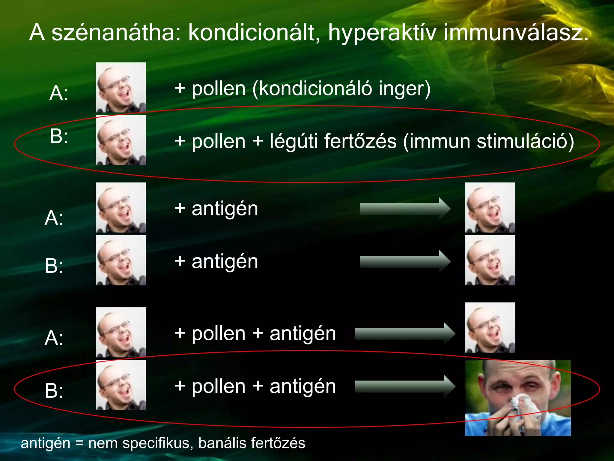 A szénanátha: kondicionált, hyperaktív immunválasz.
+ pollen + légúti fertőzés (immun stimuláció)
+ pollen (kondicionáló inger)A:
B:
A:
B: + pollen + antigén
+ pollen + antigén
A:
B:
+ antigén
+ antigén
antigén = nem specifikus, banális fertőzés
 