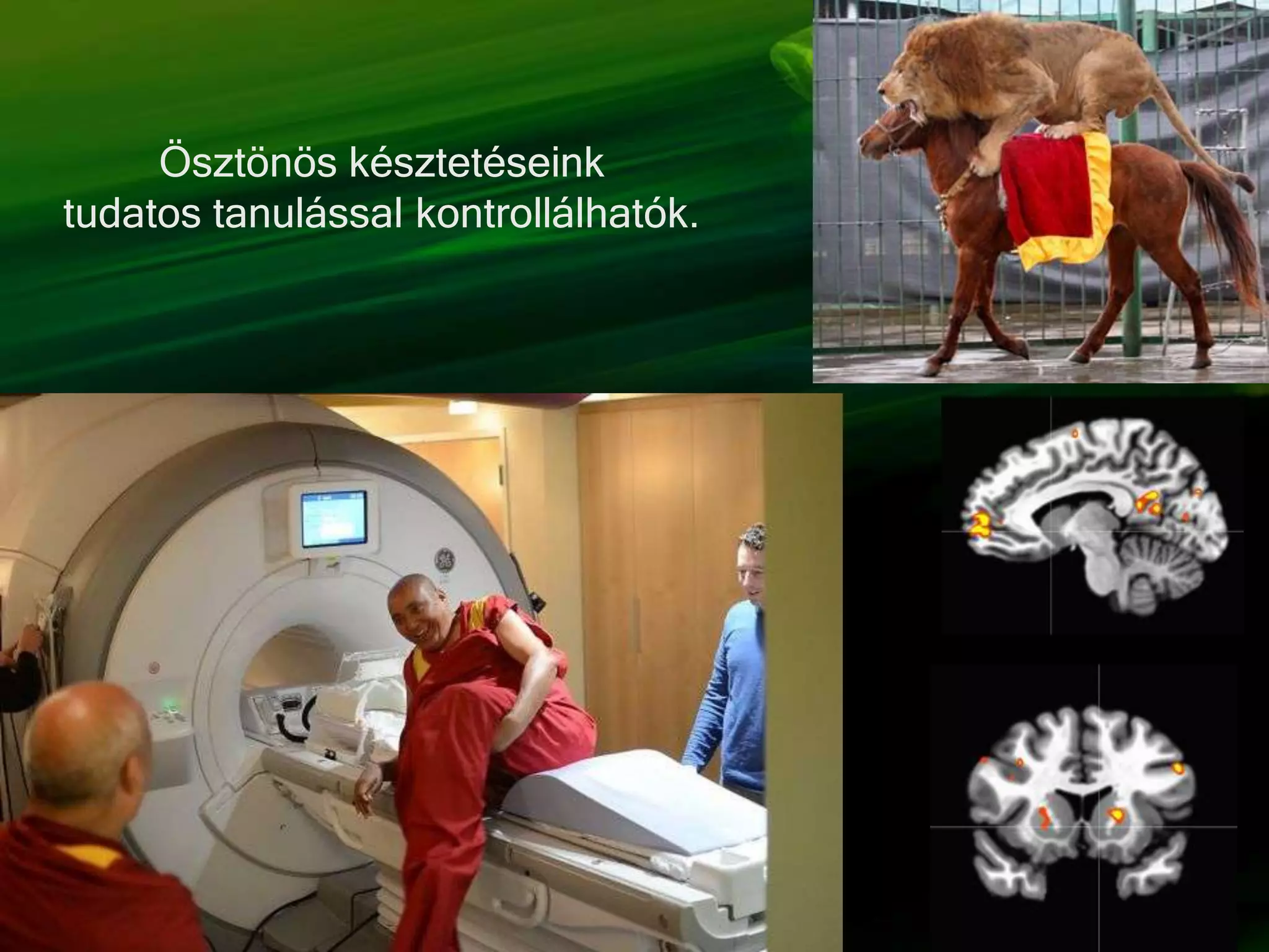 Ösztönös késztetéseink
tudatos tanulással kontrollálhatók.
 