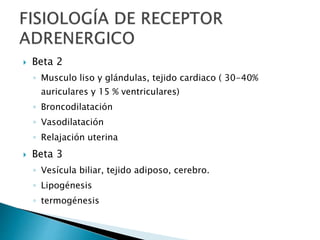  Beta 2
◦ Musculo liso y glándulas, tejido cardiaco ( 30-40%
auriculares y 15 % ventriculares)
◦ Broncodilatación
◦ Vasodilatación
◦ Relajación uterina
 Beta 3
◦ Vesícula biliar, tejido adiposo, cerebro.
◦ Lipogénesis
◦ termogénesis
 