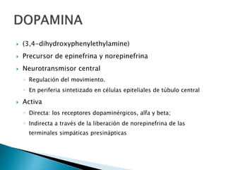  (3,4-dihydroxyphenylethylamine)
 Precursor de epinefrina y norepinefrina
 Neurotransmisor central
◦ Regulación del movimiento.
◦ En periferia sintetizado en células epiteliales de túbulo central
 Activa
◦ Directa: los receptores dopaminérgicos, alfa y beta;
◦ Indirecta a través de la liberación de norepinefrina de las
terminales simpáticas presinápticas
 
