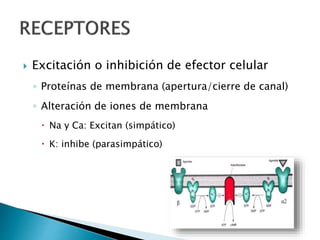  Excitación o inhibición de efector celular
◦ Proteínas de membrana (apertura/cierre de canal)
◦ Alteración de iones de membrana
 Na y Ca: Excitan (simpático)
 K: inhibe (parasimpático)
 