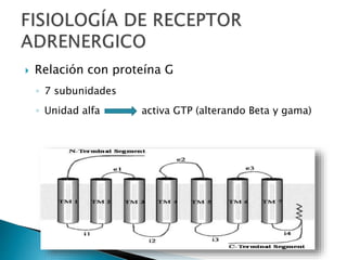  Relación con proteína G
◦ 7 subunidades
◦ Unidad alfa activa GTP (alterando Beta y gama)
 
