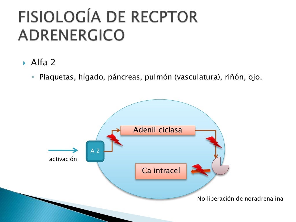 Agonistas De Receptores Adrenergicos