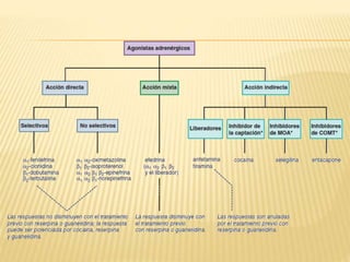 Agonistas y antagonistas adrenergicos