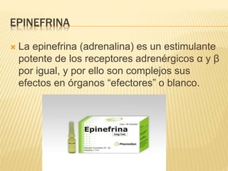 EPINEFRINA
 La epinefrina (adrenalina) es un estimulante
potente de los receptores adrenérgicos α y β
por igual, y por ello son complejos sus
efectos en órganos “efectores” o blanco.
 