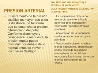 PRESION ARTERIAL
SON TRES LOS MECANISMOS QUE
EXPLICAN EL INCREMENTO
DE LA PRESIÓN ARTERIAL CAUSADO POR
LA EPINEFRINA:
 El incremento de la presión
sistólica es mayor que el de
la diastólica, de tal forma
que se ensancha la presión
diferencial o del pulso.
Conforme disminuye y
desaparece la respuesta, la
presión media puede
disminuir por debajo de lo
normal antes de volver a
los niveles “testigo”.
1. • La estimulacion directa del
miocardio que intensifica la
potencia de la contraccion
ventricular (accion inotropica
positiva)
2. • Aceleracion de la frecuencia
cardiaca (accion cronotropica
positiva)
3. • Vasoconstriccion en muchos
lechos vasculares, en particular
en los vasos de resistencia
precapilares de la piel, las
mucosas y los rinones, junto con
intensa constriccion de las
venas.
 