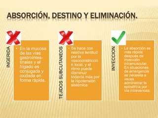 ABSORCIÓN, DESTINO Y ELIMINACIÓN.
INGERIDA
• En la mucosa
de las vías
gastrointes-
tinales y el
hígado es
conjugada y
oxidada en
forma rápida.
TEJIDOSSUBCUTANEOS
• Se hace con
relativa lentitud
por la
vasoconstricció
n local, y el
ritmo puede
disminuir
todavía más por
la hipotensión
sistémica
INYECCION
• La absorción es
más rápida
después de
inyección
intramuscular.
En situaciones
de emergencia
se necesita a
veces
administrar la
epinefrina por
vía intravenosa.
 