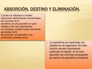 ABSORCIÓN, DESTINO Y ELIMINACIÓN.
 La epinefrina es inactivada con
rapidez en el organismo. En esta
funcion asume importancia
particular el higado, en el cual
abundan las enzimas encargadas
de destruir la epinefrina circulante.
Cuando se nebulizan e inhalan
soluciones relativamente concentradas,
las acciones de la
epinefrina se circunscriben en gran
medida a las vias respiratorias;
sin embargo, pueden surgir reacciones
generales como
las arritmias, en particular si se
administran grandes dosis.
 