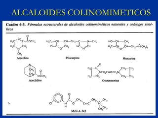 ALCALOIDES COLINOMIMETICOS
 