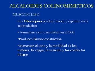 ALCALOIDES COLINOMIMETICOS
 MUSCULO LISO
   • La Pilocarpina produce miosis y espasmo en la
   acomodación.
   • Aumentan tono y motilidad en el TGI
   •Producen Broncoconstricción
   •Aumentan el tono y la motilidad de los
   uréteres, la vejiga, la vesícula y los conductos
   biliares.
 