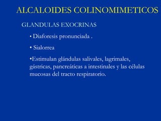 ALCALOIDES COLINOMIMETICOS
 GLANDULAS EXOCRINAS
   • Diaforesis pronunciada .

   • Sialorrea
   •Estimulan glándulas salivales, lagrimales,
   gástricas, pancreáticas a intestinales y las células
   mucosas del tracto respiratorio.
 