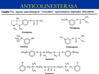 ANTICOLINESTERASA
 