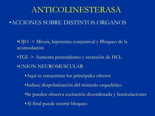 ANTICOLINESTERASA
•ACCIONES SOBRE DISTINTOS ORGANOS


  •OJO -> Miosis, hiperemia conjuntival y Bloqueo de la
  acomodación
  •TGI -> Aumenta peristaltismo y secreción de HCL
  •UNION NEUROMUSCULAR
     •Aquí se encuentran los principales efectos
     •Induce despolarización del músculo esquelético
     •Se pueden observa excitación desordenada y fasciculaciones
     •Al final puede ocurrir bloqueo
 