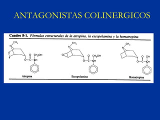 ANTAGONISTAS COLINERGICOS
 