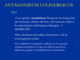 ANTAGONISTAS COLINERGICOS
  OJO
    • Los agentes atropínicos bloquean las respuestas
    del músculo esfínter del iris y del músculo ciliar a
    la estimulación colinérgicacolinérgica ->
    MIDRIASIS
    •Hay abolición del reflejo fotomotor y de la
    convergencia ocular
    •Los midriáticos atropínicos difieren de los agentes
    simpaticomiméticos en que los últimos producen
    dilatación pupilar sin pérdida de la acomodación
 