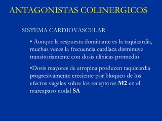 ANTAGONISTAS COLINERGICOS

  SISTEMA CARDIOVASCULAR
    • Aunque la respuesta dominante es la taquicardia,
    muchas veces la frecuencia cardíaca disminuye
    transitoriamente con dosis clínicas promedio
    •Dosis mayores de atropina producen taquicardia
    progresivamente creciente por bloqueo de los
    efectos vagales sobre los receptores M2 en el
    marcapaso nodal SA
 