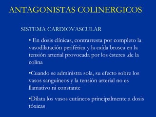ANTAGONISTAS COLINERGICOS

  SISTEMA CARDIOVASCULAR
    • En dosis clínicas, contrarresta por completo la
    vasodilatación periférica y la caída brusca en la
    tensión arterial provocada por los ésteres .de la
    colina
    •Cuando se administra sola, su efecto sobre los
    vasos sanguíneos y la tensión arterial no es
    llamativo ni constante
    •Dilata los vasos cutáneos principalmente a dosis
    tóxicas
 