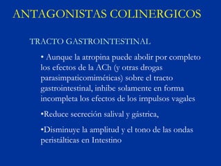 ANTAGONISTAS COLINERGICOS

  TRACTO GASTROINTESTINAL
    • Aunque la atropina puede abolir por completo
    los efectos de la ACh (y otras drogas
    parasimpaticomiméticas) sobre el tracto
    gastrointestinal, inhibe solamente en forma
    incompleta los efectos de los irnpulsos vagales
    •Reduce secreción salival y gástrica,
    •Disminuye la amplitud y el tono de las ondas
    peristálticas en Intestino
 