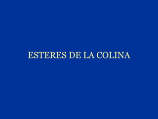 ESTERES DE LA COLINA
 