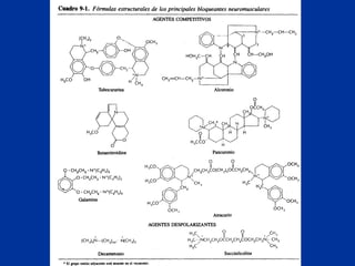 Agonistas y antagonistas colinergicos