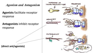 Agonists and antagonists | PPTX
