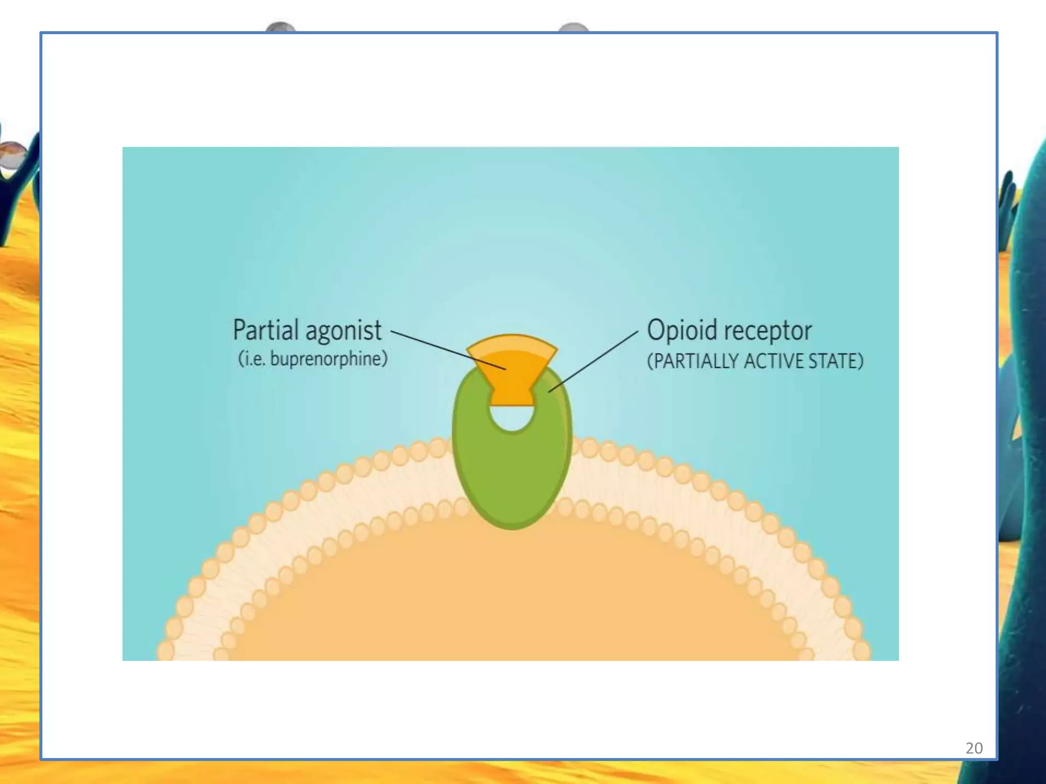 Agonists, partial agonists, | PPTX