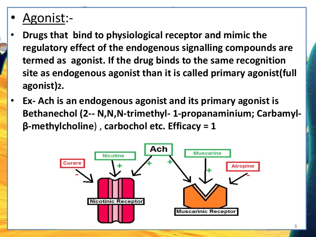 Agonists, partial agonists, - Agonists Do All Of The Following Except