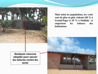 Mais selon les populations, les vents
sont de plus en plus violents (85 % à
Grand-Popo et 55 % à Ouidah) et
emportent les toitures des
habitations
Quelques mesures
adoptée pour sauver
les toitures contre les
vents
 