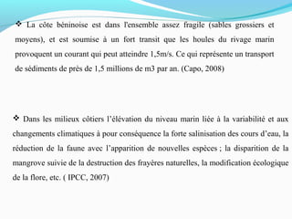  La côte béninoise est dans l'ensemble assez fragile (sables grossiers et
moyens), et est soumise à un fort transit que les houles du rivage marin
provoquent un courant qui peut atteindre 1,5m/s. Ce qui représente un transport
de sédiments de près de 1,5 millions de m3 par an. (Capo, 2008)
 Dans les milieux côtiers l’élévation du niveau marin liée à la variabilité et aux
changements climatiques à pour conséquence la forte salinisation des cours d’eau, la
réduction de la faune avec l’apparition de nouvelles espèces ; la disparition de la
mangrove suivie de la destruction des frayères naturelles, la modification écologique
de la flore, etc. ( IPCC, 2007)
 