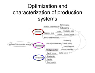 A Gonzales quesungual slash and mulch agroforestry july 2010