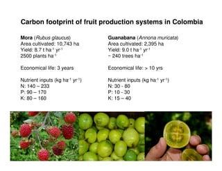 A Gonzales quesungual slash and mulch agroforestry july 2010