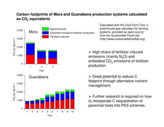 A Gonzales quesungual slash and mulch agroforestry july 2010