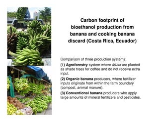 A Gonzales quesungual slash and mulch agroforestry july 2010