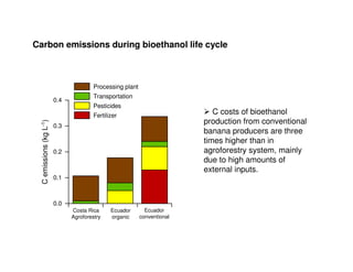 A Gonzales quesungual slash and mulch agroforestry july 2010