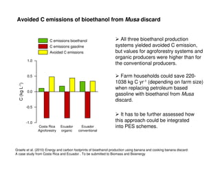 A Gonzales quesungual slash and mulch agroforestry july 2010