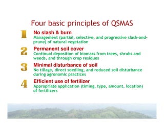 A Gonzales quesungual slash and mulch agroforestry july 2010