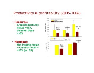 A Gonzales quesungual slash and mulch agroforestry july 2010