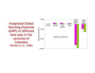 A Gonzales quesungual slash and mulch agroforestry july 2010