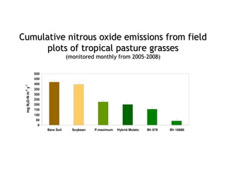 A Gonzales quesungual slash and mulch agroforestry july 2010